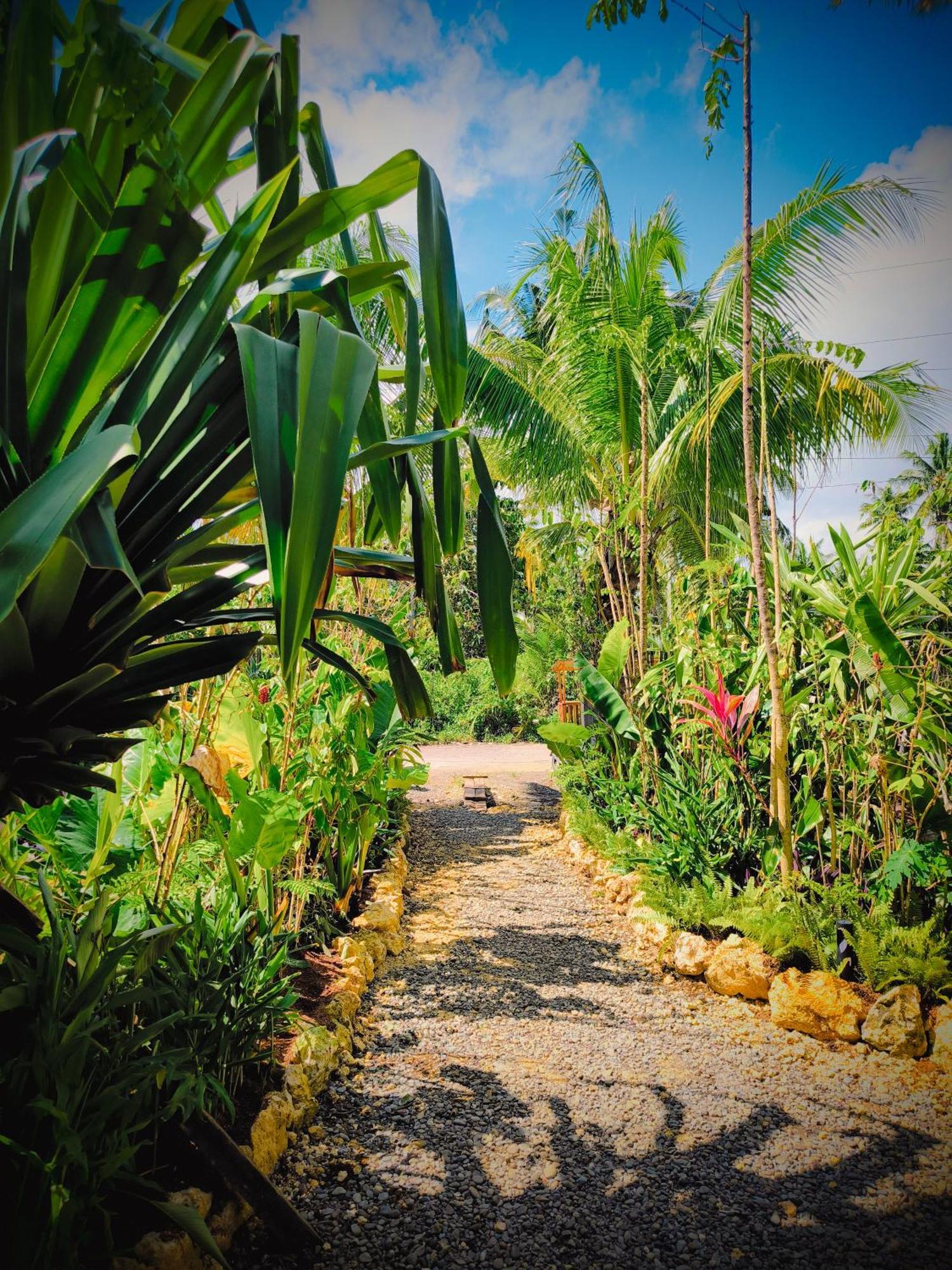 The Ohm Siargao Resort General Luna  Zewnętrze zdjęcie