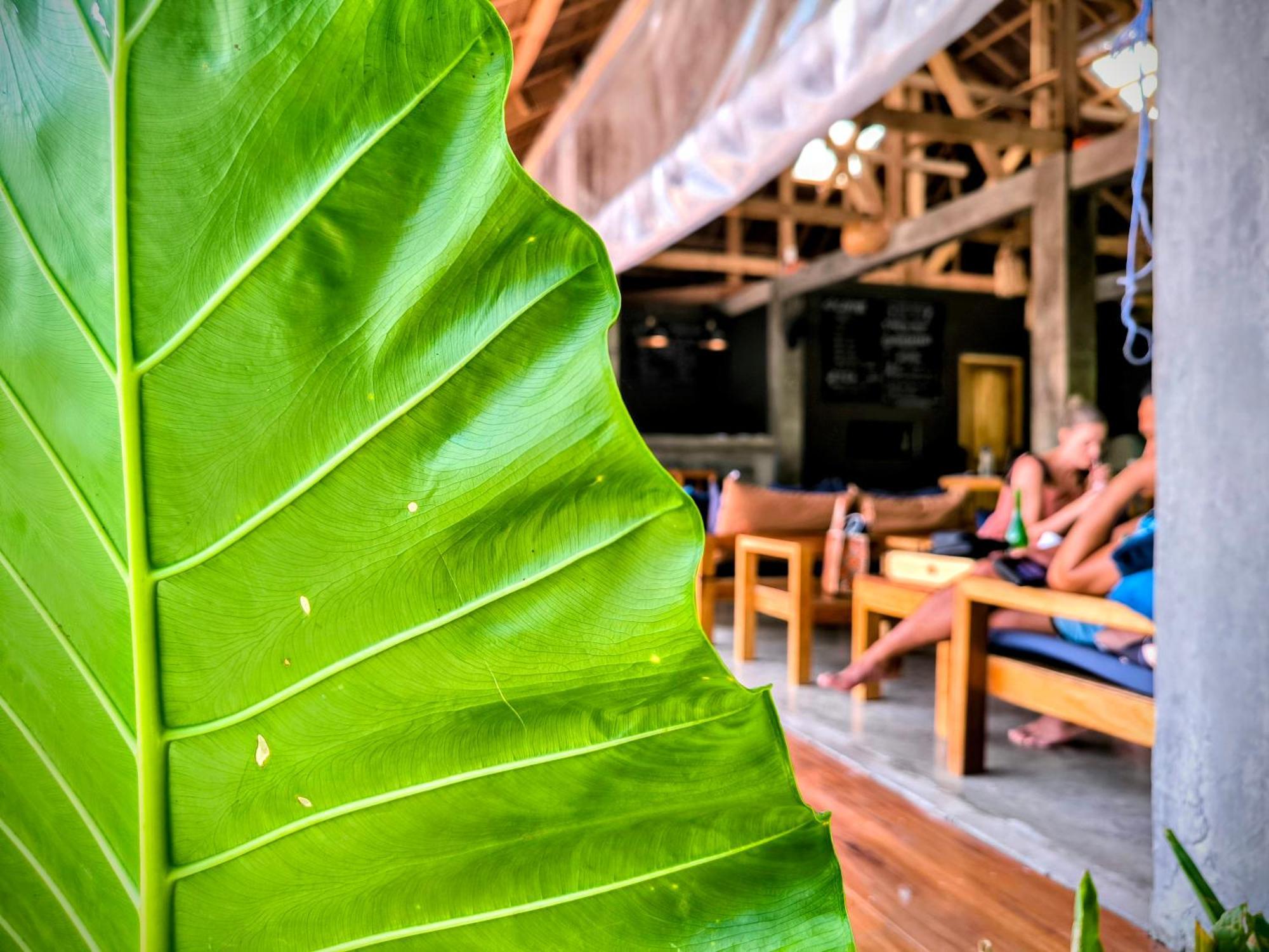 The Ohm Siargao Resort General Luna  Zewnętrze zdjęcie